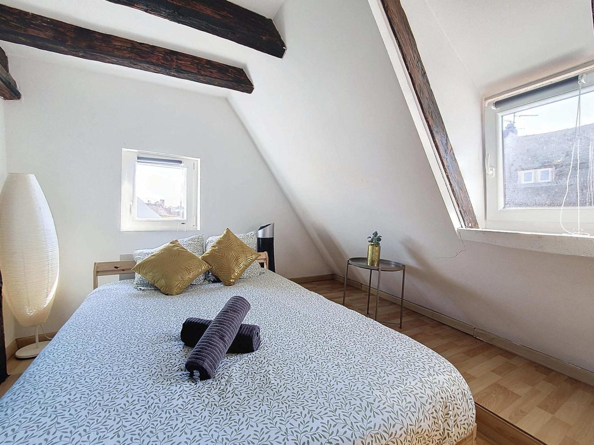 Appartamento Tonneau - Hypercentre - Cathedrale - Authentique - Duplex Strasburgo Esterno foto